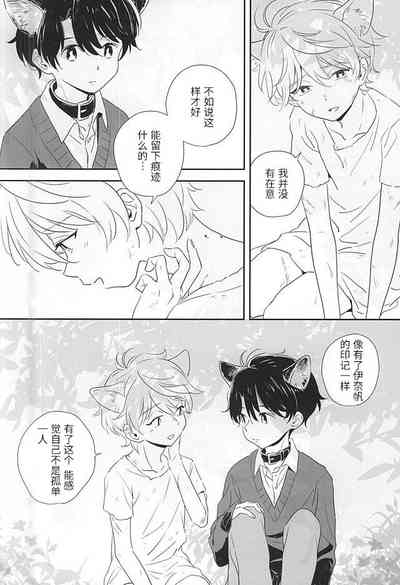 第20页图
