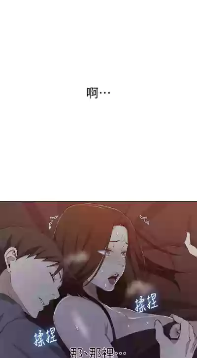 第248頁圖