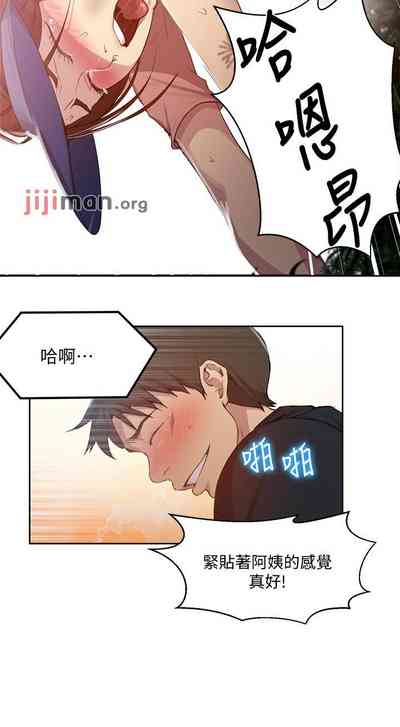 第528頁圖