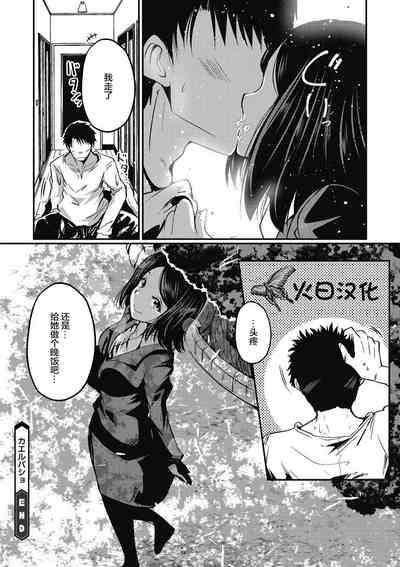 第24頁圖