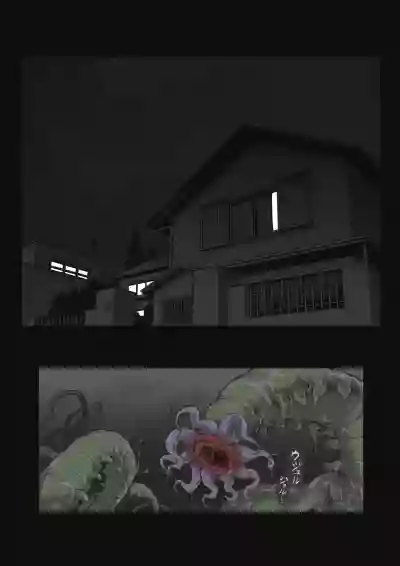 第20页图