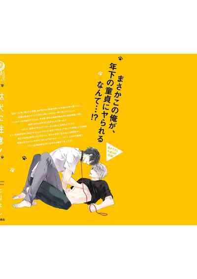 第164頁圖