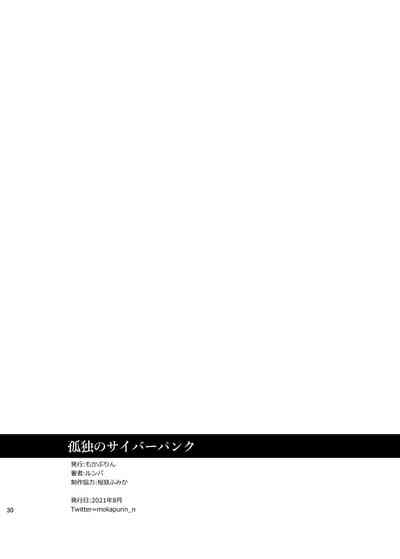 第28頁圖