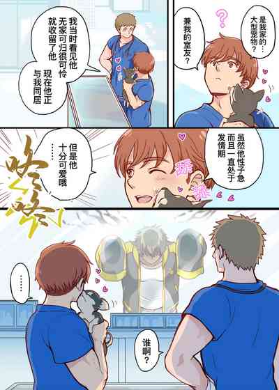第4页图