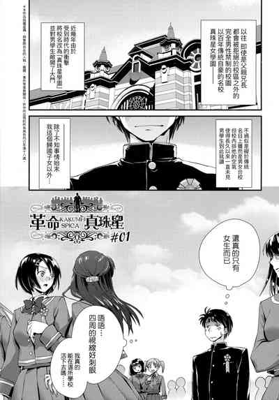 第132頁圖