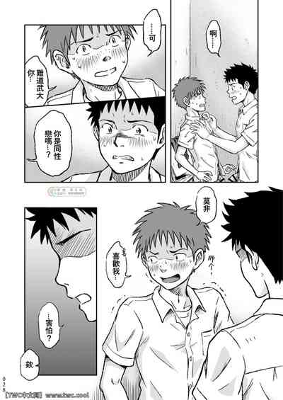 第28頁圖