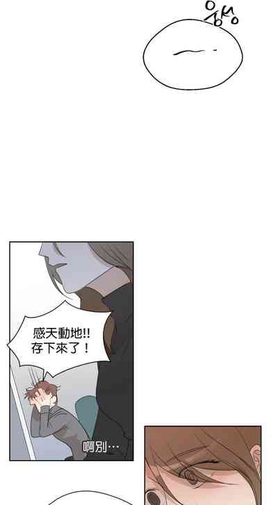 第44頁圖