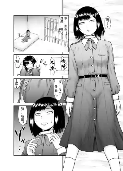 第4页图