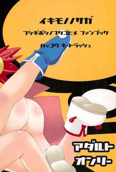 第32頁圖