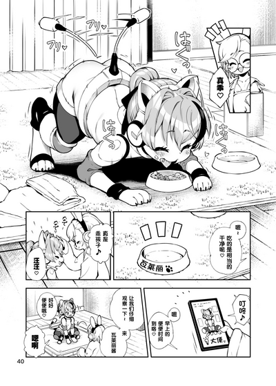 第40頁圖