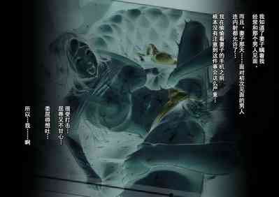 第48页图