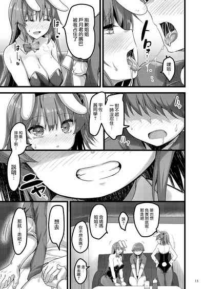 第12页图