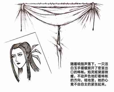 第52頁圖