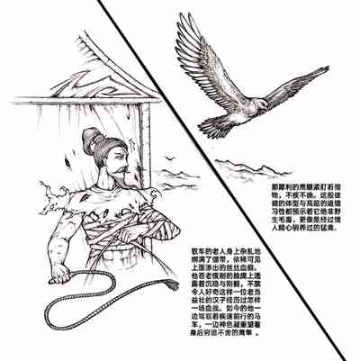 第8頁圖