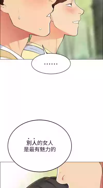第28页图