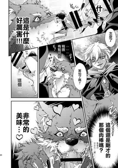 第20頁圖