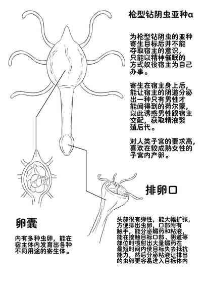 第24页图