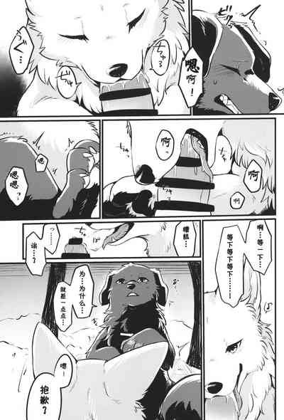 第12页图