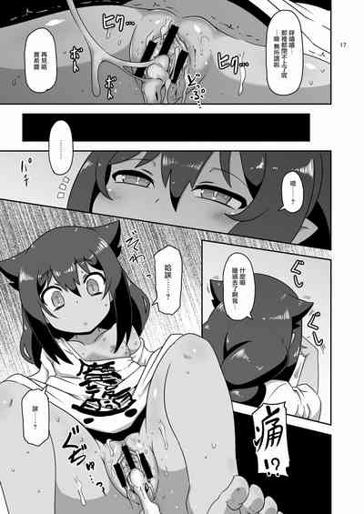 第16页图