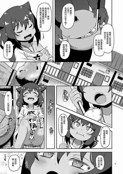 第4页图