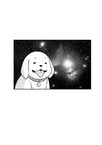 第156頁圖
