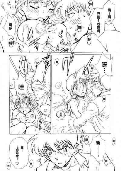 第28頁圖