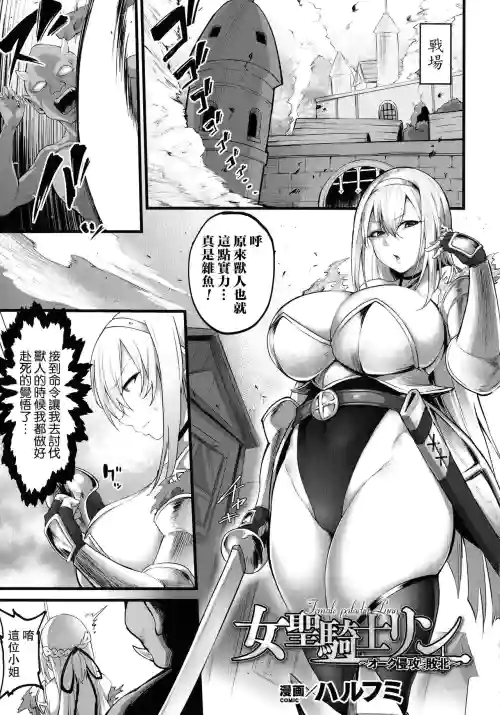 女圣骑士リン图