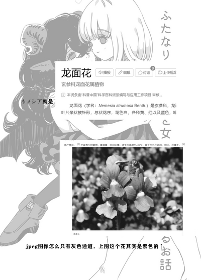第32頁圖