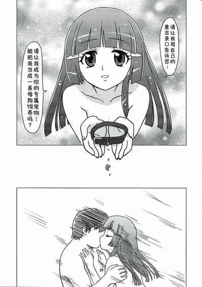 第28頁圖