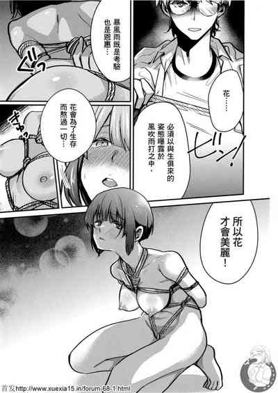 第116頁圖