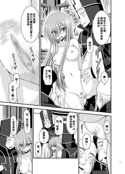 第24页图