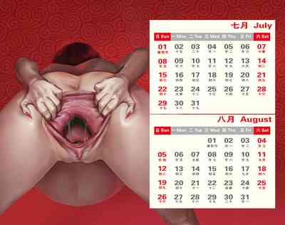 第8页图
