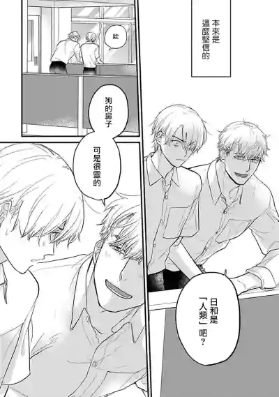 第412页图
