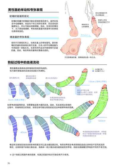 第36頁圖