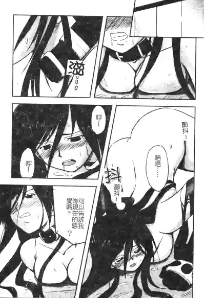 第68頁圖