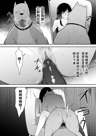 第20页图