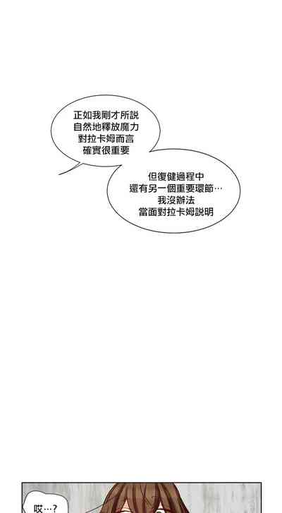 第244頁圖