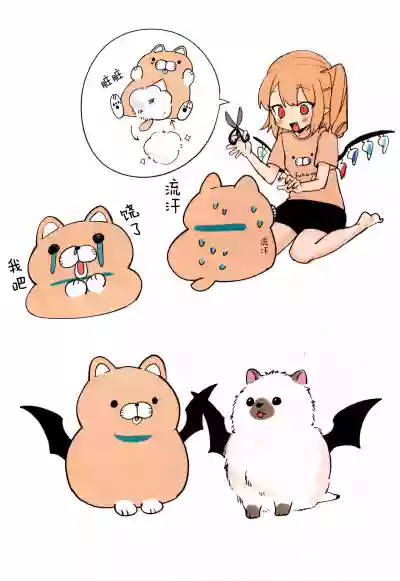 第4页图
