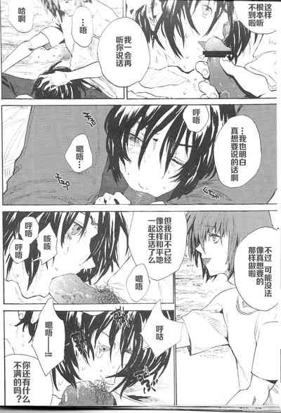 第20页图
