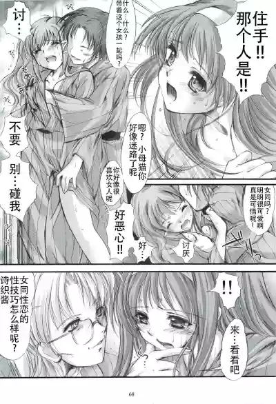 第68頁圖