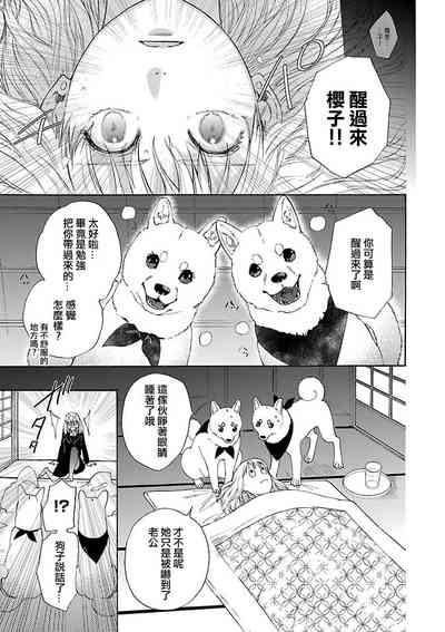 第20页图