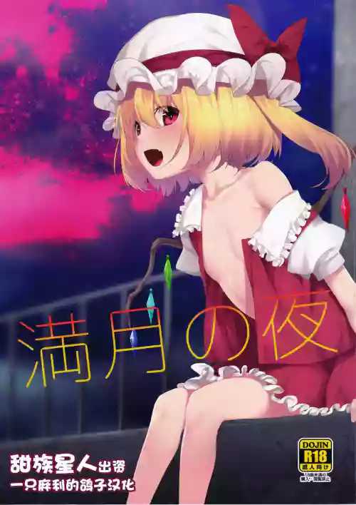 満月の夜に圖
