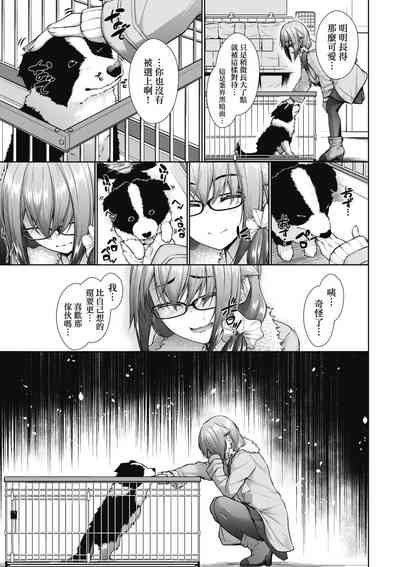 第156頁圖