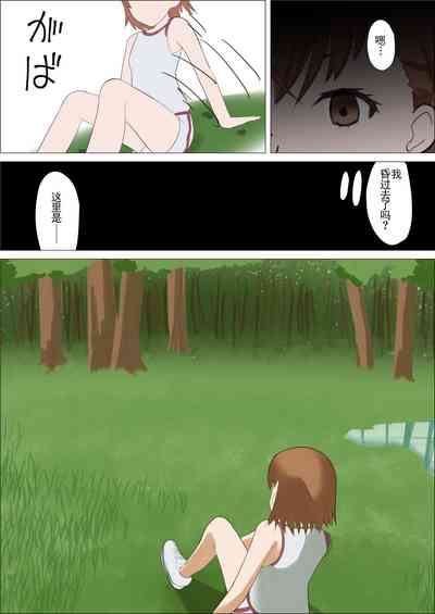 第8页图