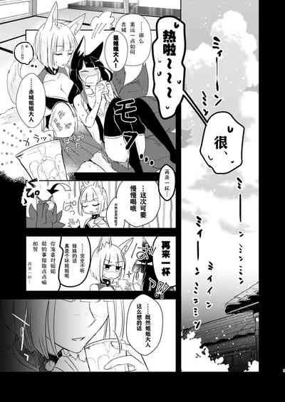 第4页图