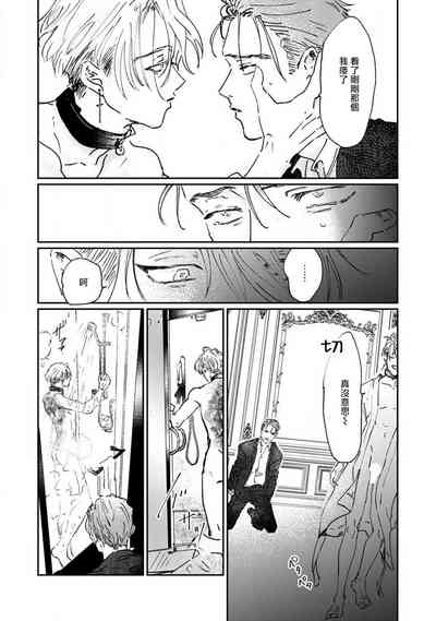 第48页图