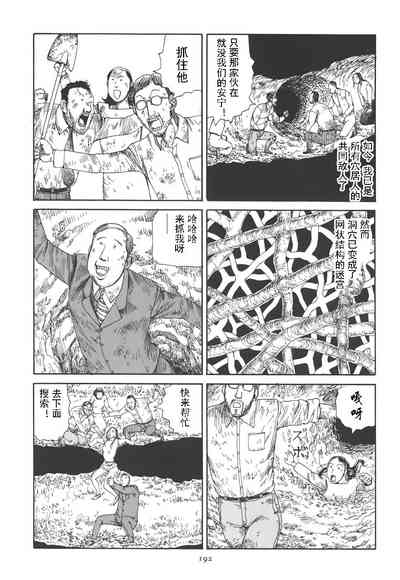 第196頁圖