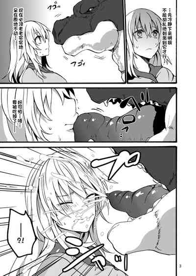 第4页图