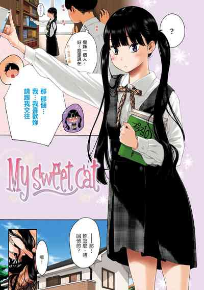 第216页图