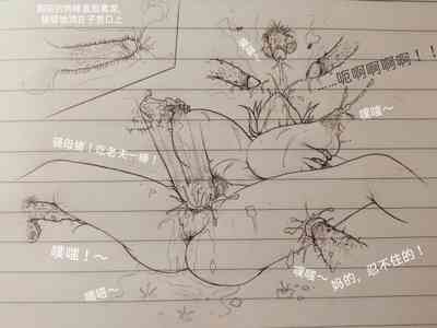 第52頁圖
